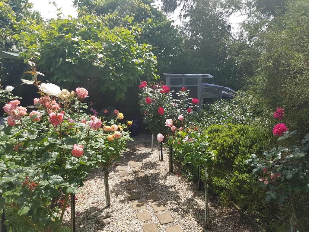 Olde Mill House B&B & Bike2Wine Cycle Hire Renwick Esterno foto